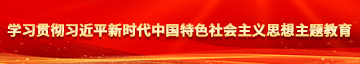 操逼视频,大结局学习贯彻习近平新时代中国特色社会主义思想主题教育